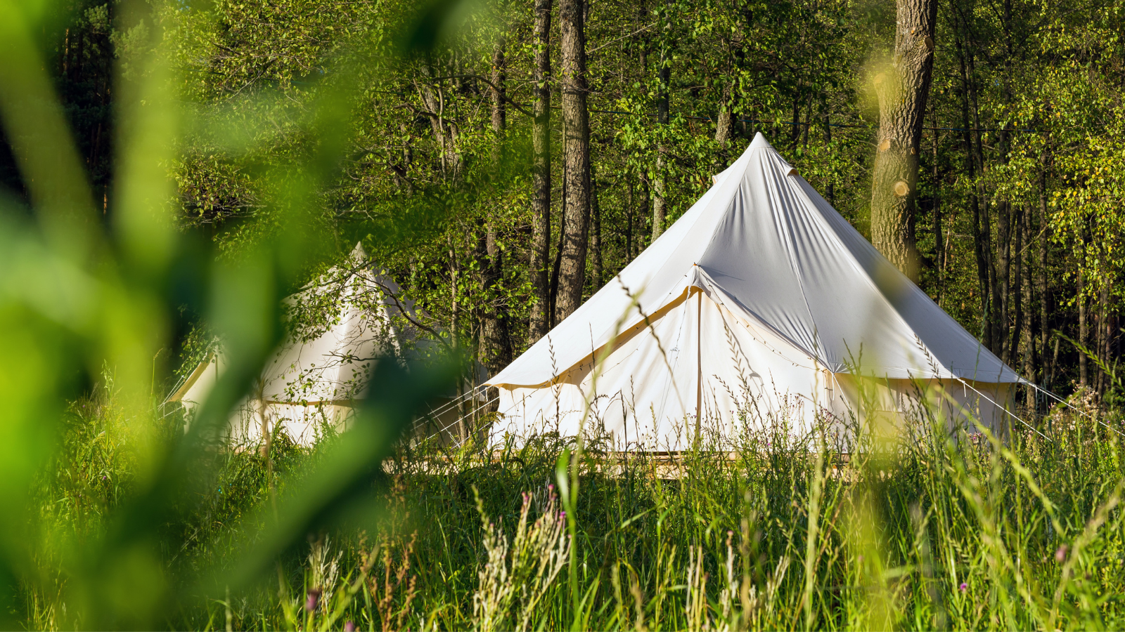 Image of a bell tent